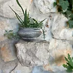 Holiday Arte Apartament *